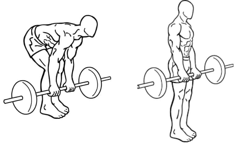 Romanian Deadlift Start and Finish